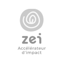 logo partenaire ZEI