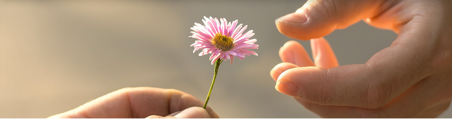 Tarifs des cagnottes solidaires