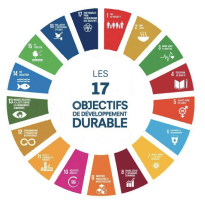 17 objectifs de développement durable